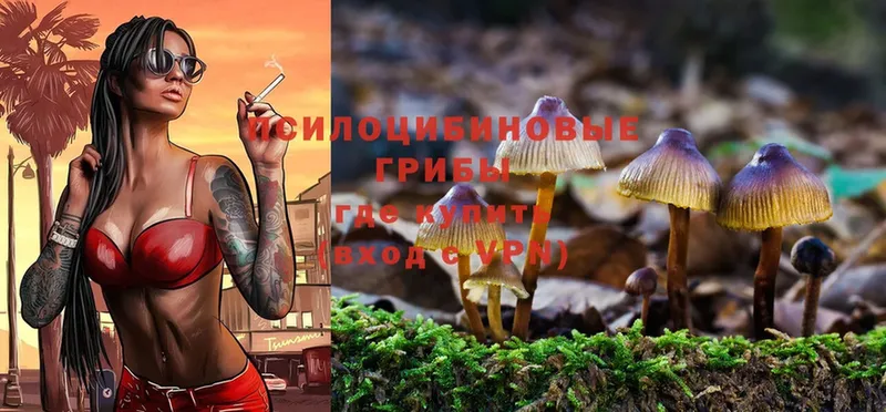 Галлюциногенные грибы Magic Shrooms  Заозёрный 